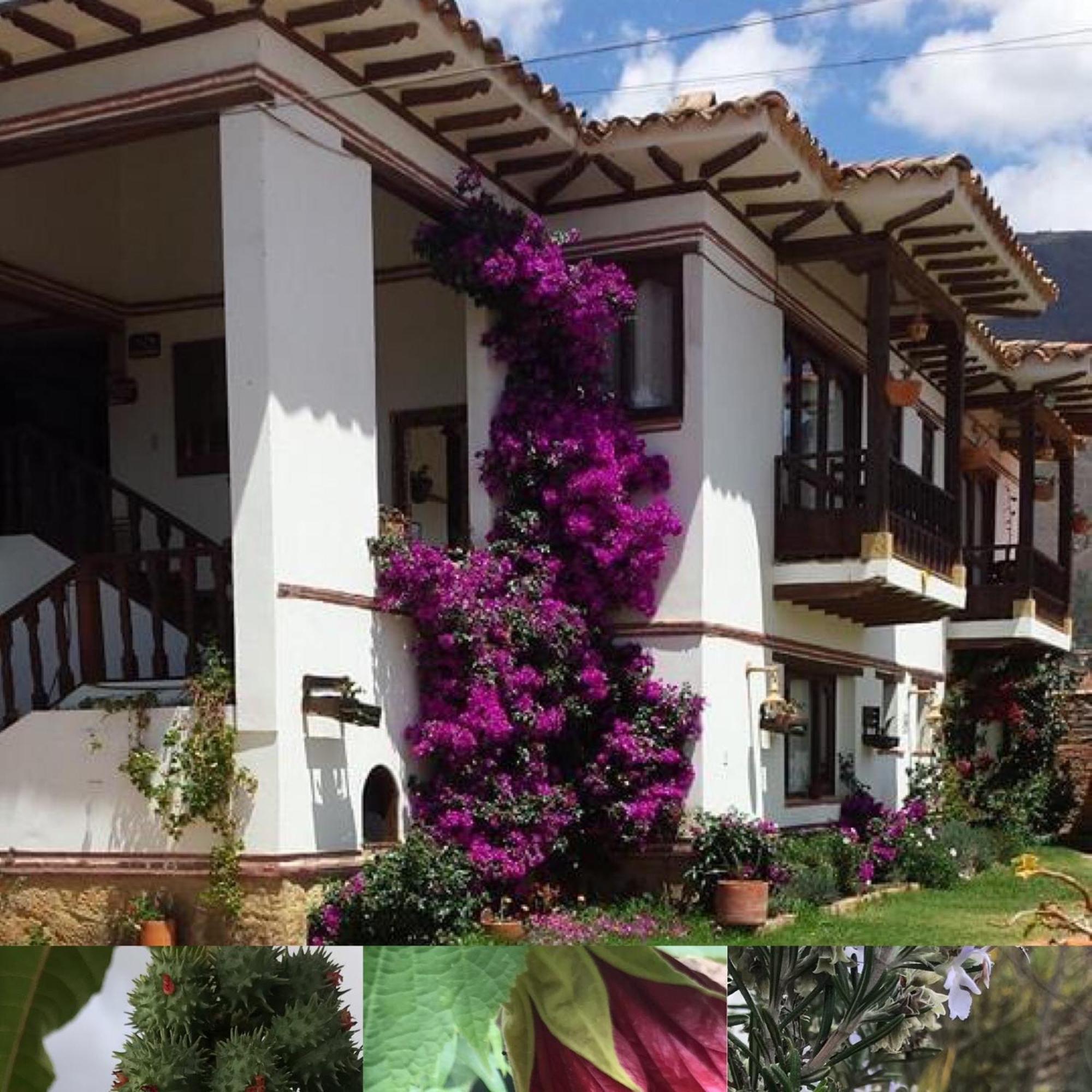 Hotel Santa Viviana Villa De Leyva Eksteriør billede